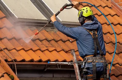 Démoussage et hydrofuge de toiture à Talcy